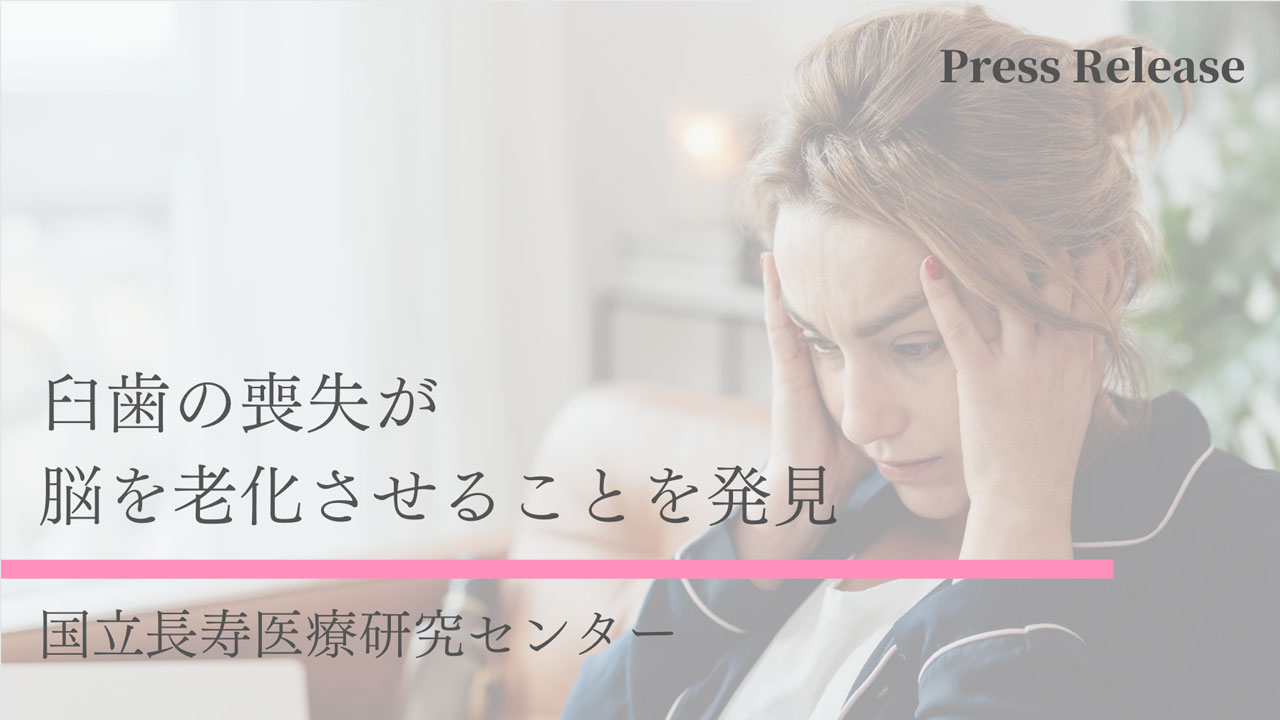 臼歯の喪失が脳の老化を促進 国立長寿医療研究センターの画像です