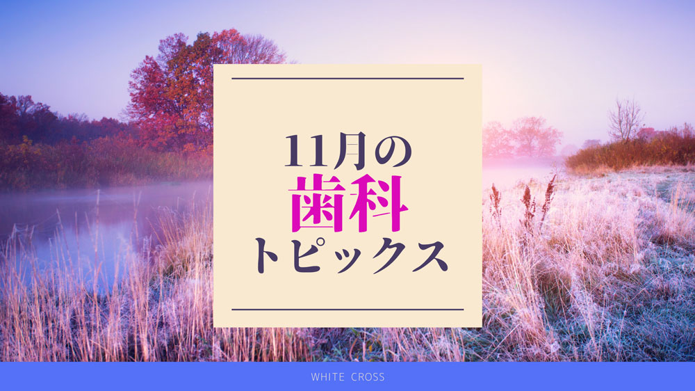 【まとめ読み】11月の歯科トピックスの画像です