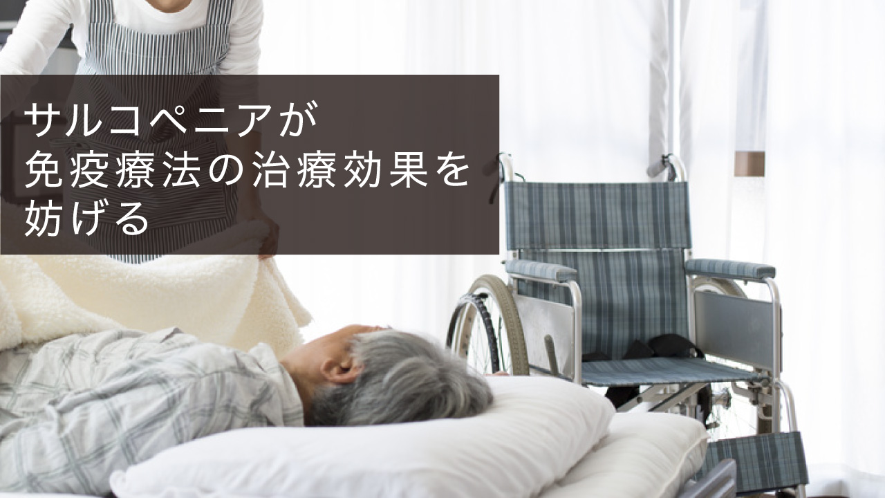 サルコペニアが免疫療法の治療効果を妨げる 京都府立医大の画像です