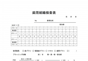 歯周組織検査表①