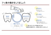 フッ素の働きをしりましょう