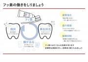 フッ素の働きをしりましょう