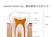 15_定期検診