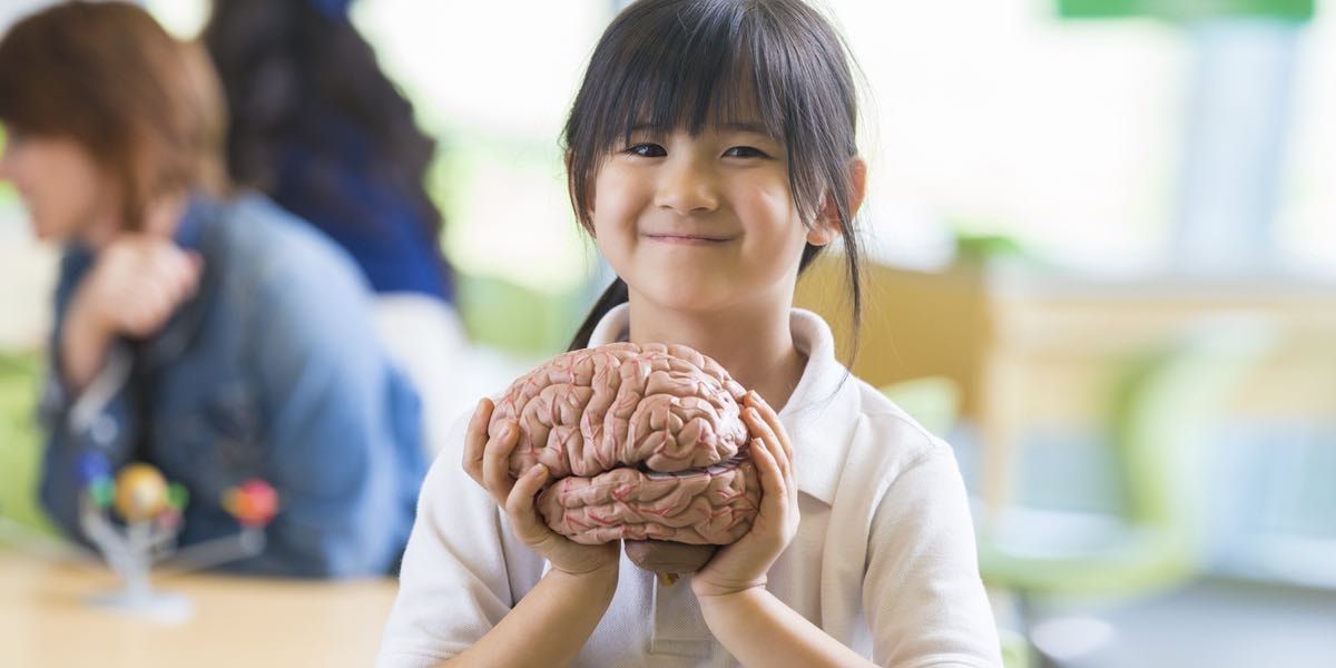 生物家教的專業服務 生物家教的專業服務