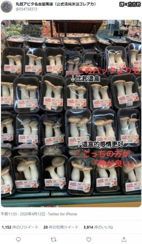 測試新手方案申請退還後被僱用，能否退還成功 - 