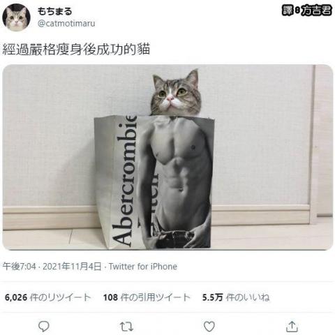 測試新手方案申請退還後被僱用，能否退還成功 - 