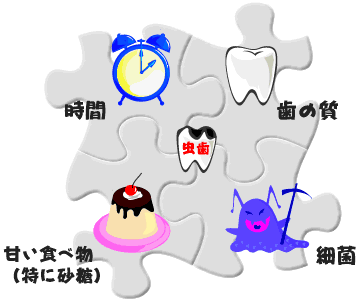 虫歯 歯周病の病気を調べる Helc ヘルシー