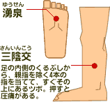 冷え性に効く足のツボ