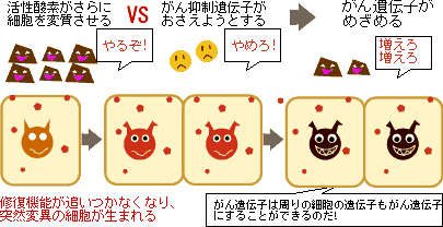 プロモーション（促進期）