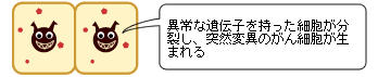 がん細胞の発生と進行2