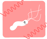 ピロリ菌