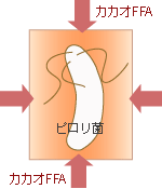 殺菌のメカニズム　その1