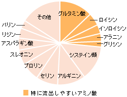 毛髪のアミノ酸組成