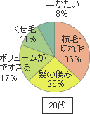 グラフ：20代女性の髪の悩み