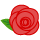 バラ