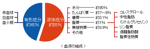 血液の組成