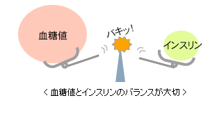 血糖値とインスリンのバランスが大切