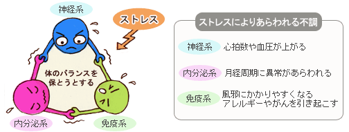 神経系、内分泌系、免疫系という3つのシステム