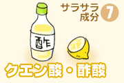 クエン酸・酢酸