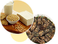 ホルモンバランスにはたらきかける食材を