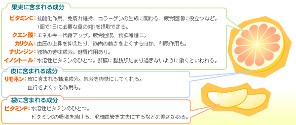 グレープフルーツ