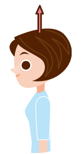 3. 首を上に向かってひきあげるように伸ばす