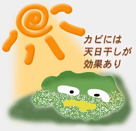 天日干し