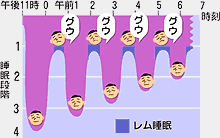 レム睡眠とノンレム睡眠