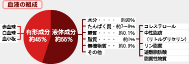 ドロドロ血液は寿命を縮める Helc ヘルシー