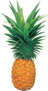 パイナップル