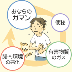 便秘 下痢の病気を調べる Helc ヘルシー