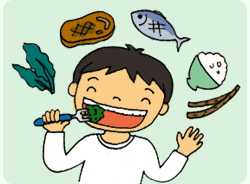 歯並びは子どもから大人にかけて生活習慣、クセで変化