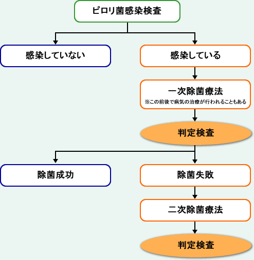 ピロリ菌除菌療法の流れ