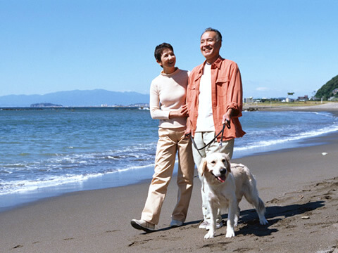 運動が抑うつ状態を改善する