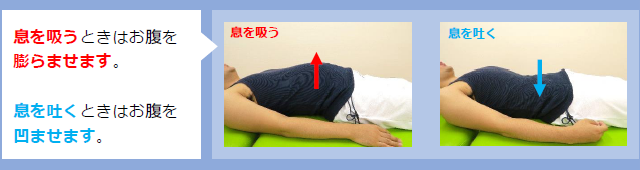 効率よく呼吸をする運動 腹式呼吸