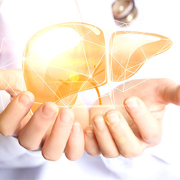 肝臓は気付かないうちに悪化していくので注意