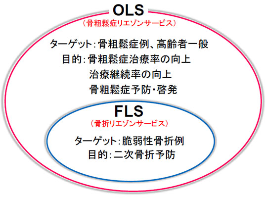 図：骨粗鬆症リエゾンサービスと骨折リエゾンサービス
