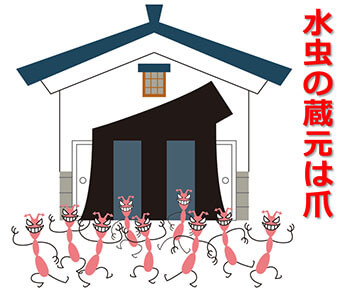 水虫の蔵本は足