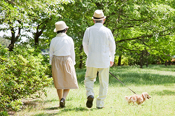 写真:高血圧へのゆっくりとした散歩の効果