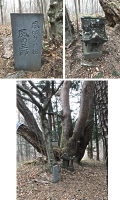 野原賢治ページ 083：宮澤賢治と八ヶ岳（望月吉彦先生） - ドクターズコラム | HelC