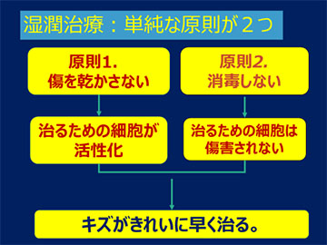 図4：湿潤治療の原則