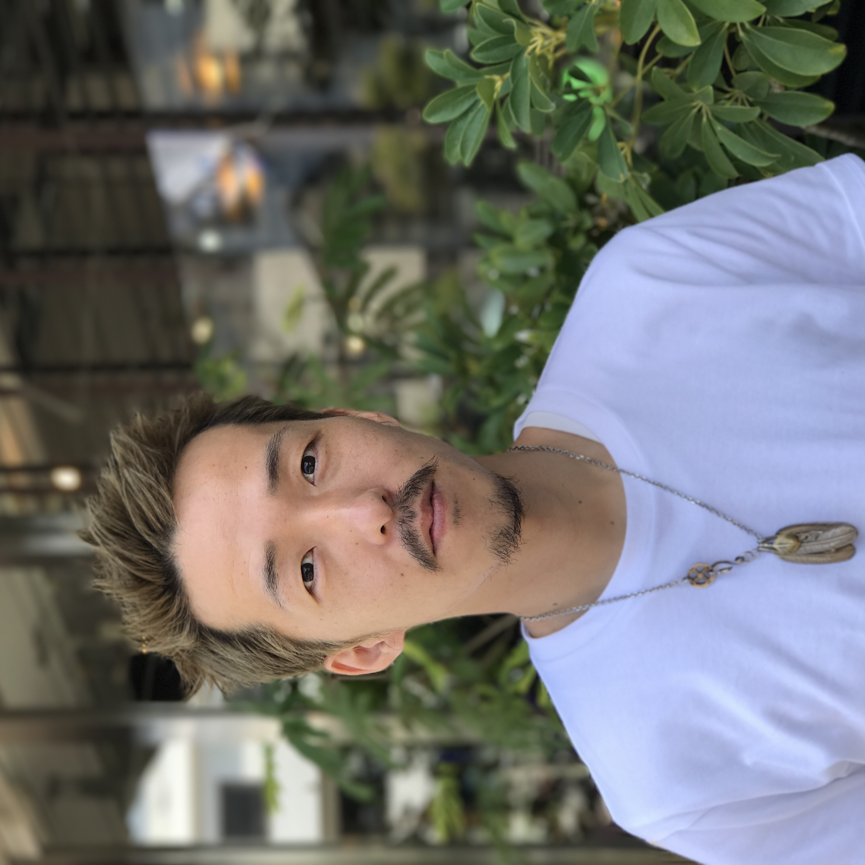 e49e70ac8ae433fe1c959df6982fad38b80c2386