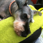 ea9152da0f096205b9818e2f99751ccb883bc0ca