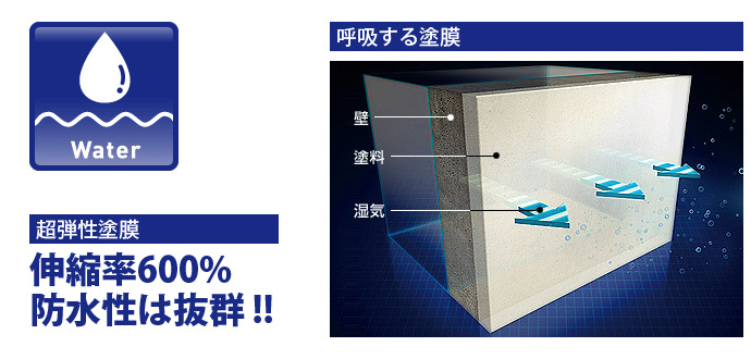 はなごう0