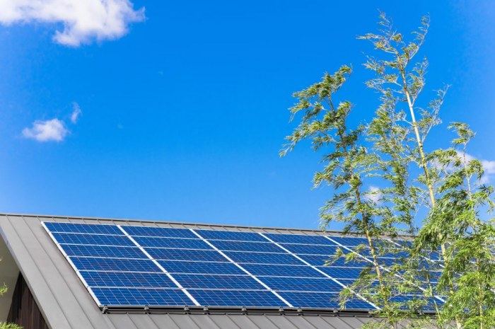 アパート・賃貸マンションに太陽光発電を導入したら長期入居&安定経営!その経緯をオーナーに聞いた2