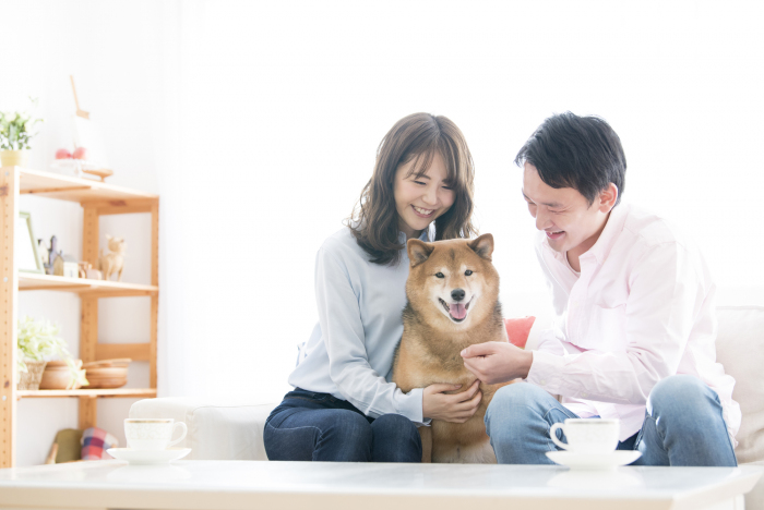 屋上 ドッグラン で愛犬と楽しむ ペットと暮らす賃貸住宅の差別化手法とは 編集長ブログ 記事を読む オーナーズ スタイル ネット で賃貸経営