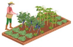 農地活用で差別化！「畑付き物件」とは？ポイントやメリット・デメリットに迫る