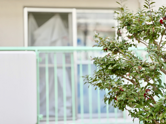 事故物件でも選ばれる条件とは?入居者500人の意識調査から意外な本音が明らかに2