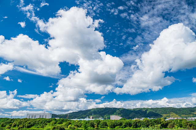 住みたい街の本音がわかる「住みここちランキング2025」が発表。首都圏・関西で選ばれた街と、その魅力とは？2