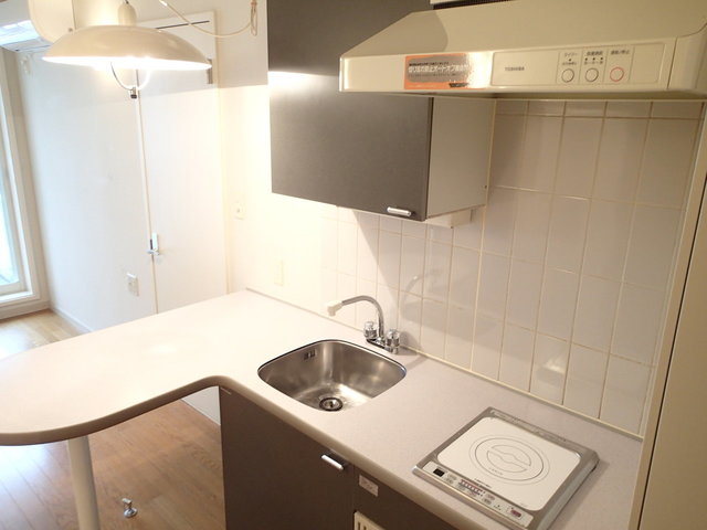 キッチンは小さいと楽しい説 203号室(東京都杉並区) 東京、神奈川、千葉、埼玉のリノベーション・デザイナーズ賃貸ならグッドルーム